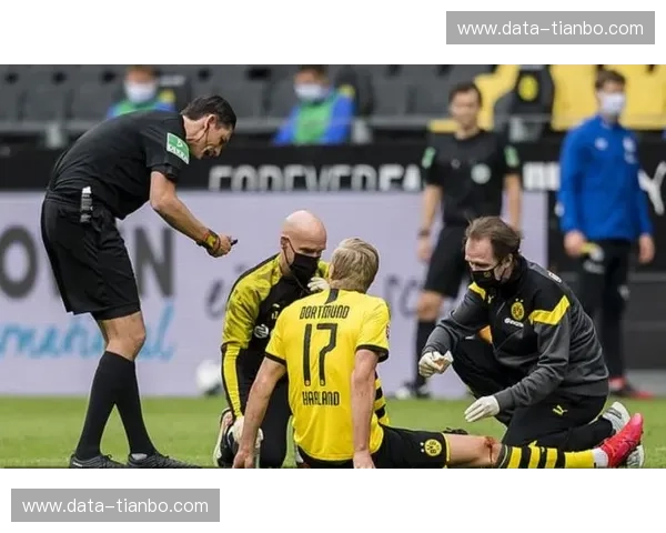 探索德甲的激情与魅力——体育直播带你零距离感受德国足球风采